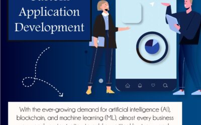 3 Advantages of Custom Application Development – Infographic